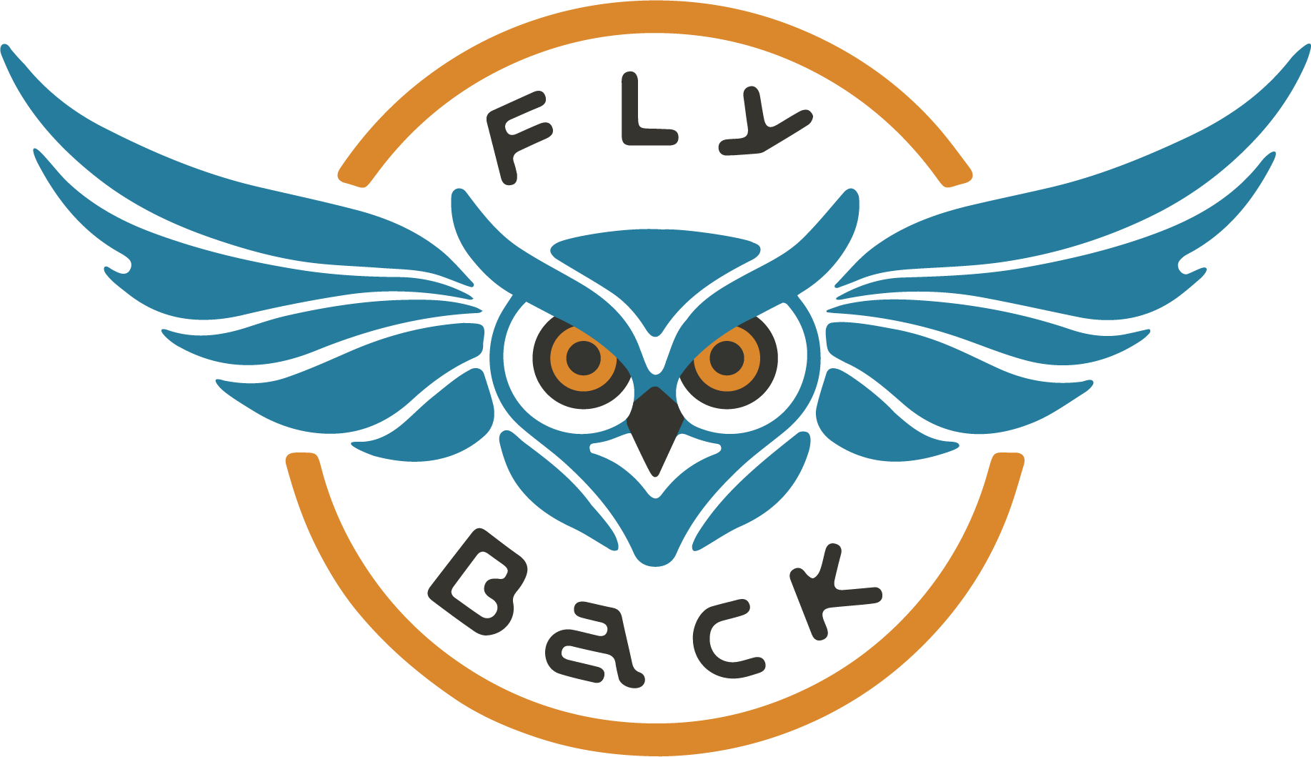 fly-back